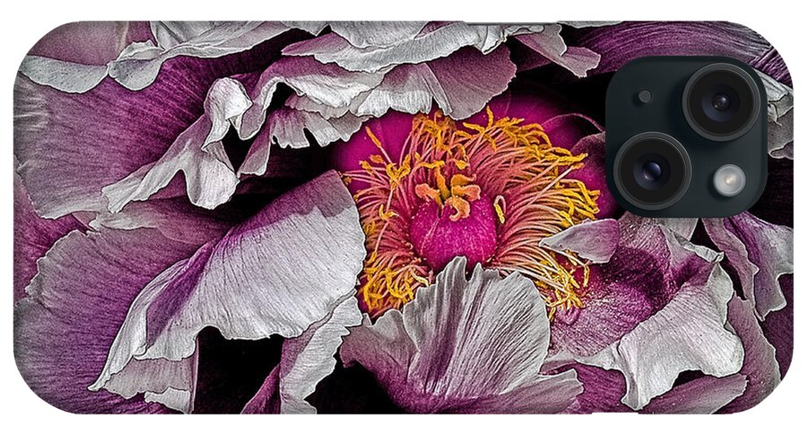 Flower iPhone Case featuring the photograph In the Eye of the Peony by Chris Lord