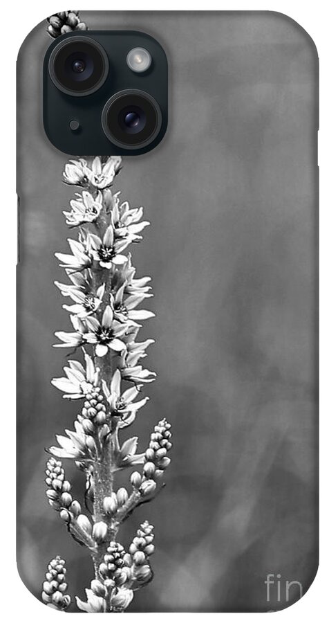 Flower iPhone Case featuring the photograph In The Meadow by Sheila Ping