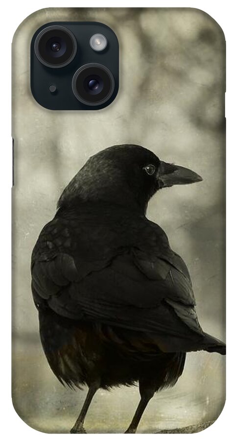 Gray Aged Image iPhone Case featuring the photograph In The Mist Of The Old Graveyard by Gothicrow Images