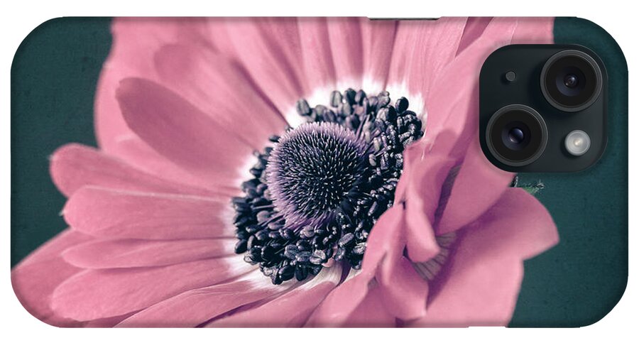 Anemone iPhone Case featuring the photograph In The Pink by Caitlyn Grasso