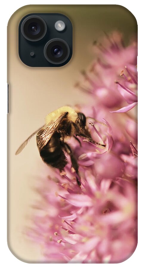 Bee iPhone Case featuring the photograph In The Pink by Lois Bryan