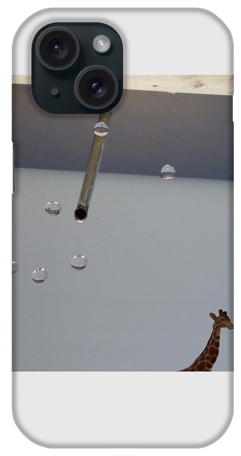 Giraffe iPhone Case featuring the photograph In the Sink by Michelle Miron-Rebbe