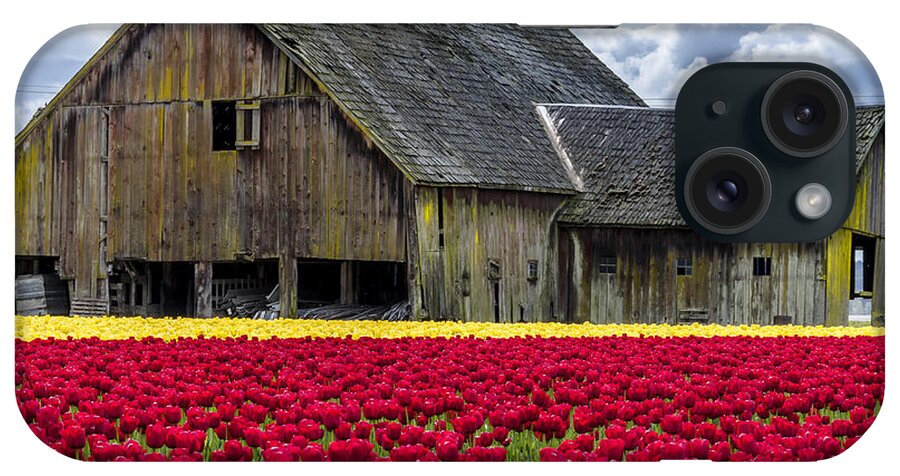 Abundance iPhone Case featuring the photograph In the Tulip Field by Teri Virbickis