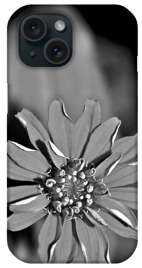 Flowers iPhone Case featuring the photograph In Time by Donna Shahan