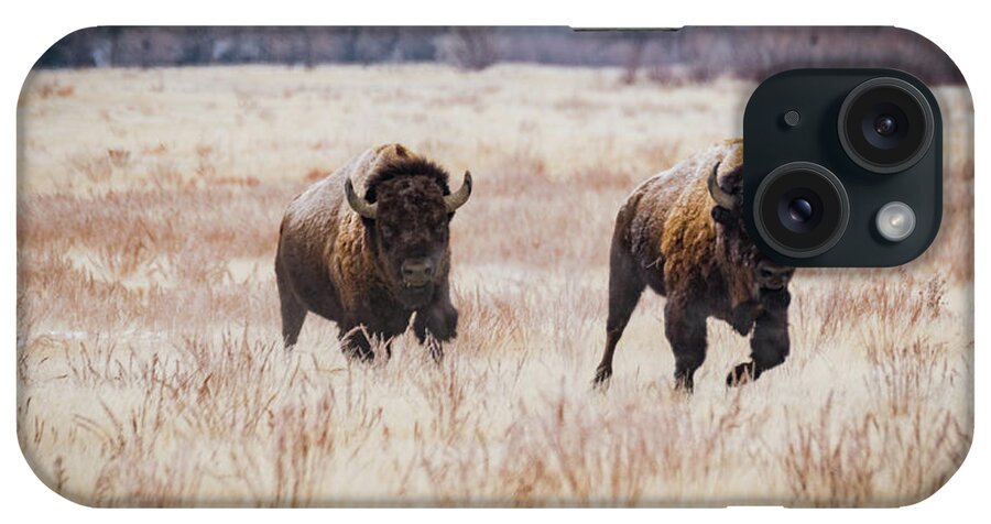 2018 iPhone Case featuring the photograph Incoming-Bison on the Run by Kelly Kennon