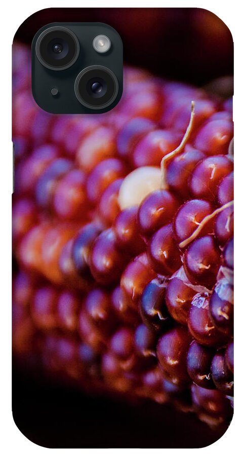 Corn iPhone Case featuring the photograph Indian Corn 2 by Andrea Anderegg