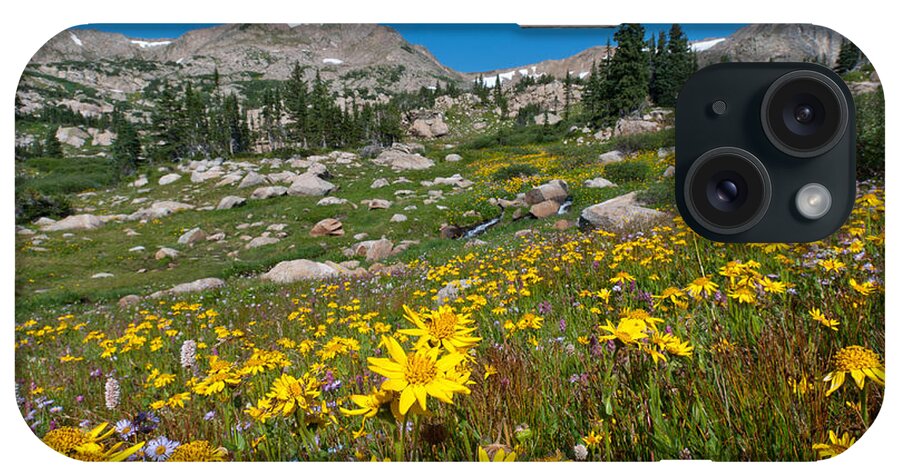 Indian Peaks Wilderness Area iPhone Case featuring the photograph Indian Peaks Summer Wildflowers by Cascade Colors