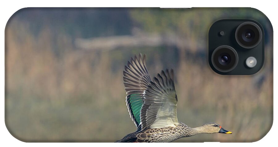 Bird iPhone Case featuring the photograph Indian Spot-billed Duck 03 by Werner Padarin