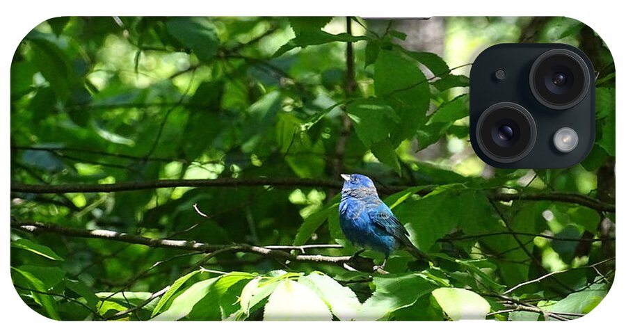 Birds iPhone Case featuring the photograph Indigo Bunting by Mary Halpin