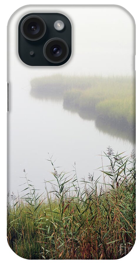 Fog iPhone Case featuring the digital art Inlet by Dianne Morgado