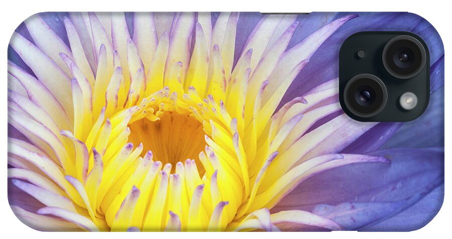 Waterlily iPhone 15 Case featuring the photograph Perfect symmetry of a blossom by Usha Peddamatham