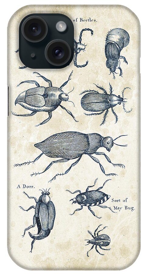Beetle iPhone Case featuring the digital art Insects - 1792 - 02 by Aged Pixel