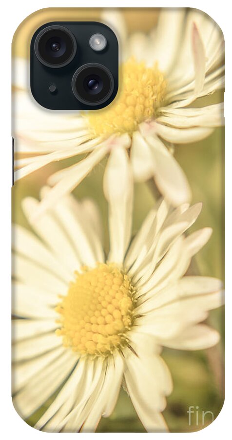Daisy iPhone Case featuring the photograph Inseparable by Jorgo Photography