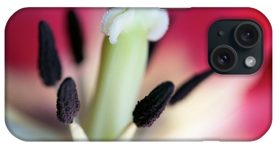 Deborah Scannell Photography iPhone Case featuring the photograph Inside a Tulip by Deborah Scannell
