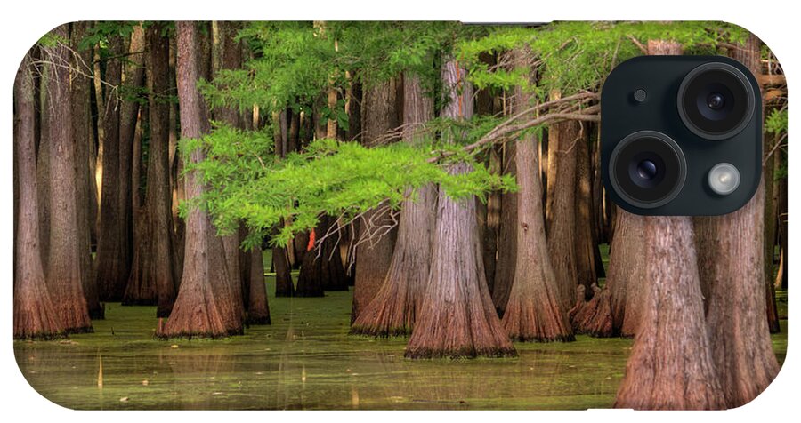Bayou iPhone Case featuring the photograph Inside The Bayou by Ester McGuire