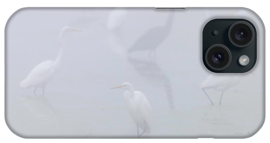 Egret iPhone Case featuring the photograph Inside the Fog by Everet Regal