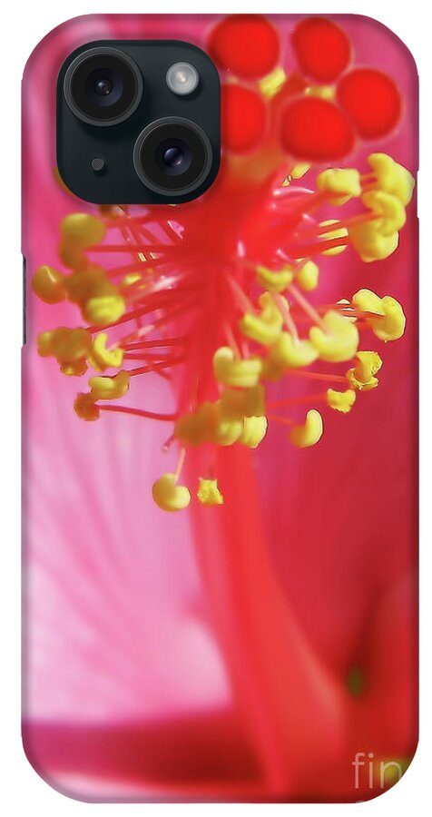 Hibiscus iPhone Case featuring the photograph Inside The Hibiscus by D Hackett