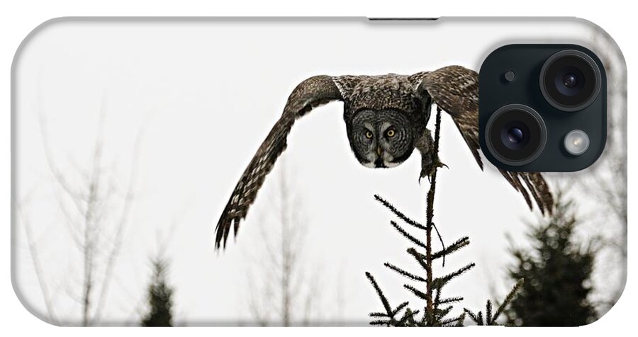 Photography iPhone Case featuring the photograph Intent on His Prey by Larry Ricker