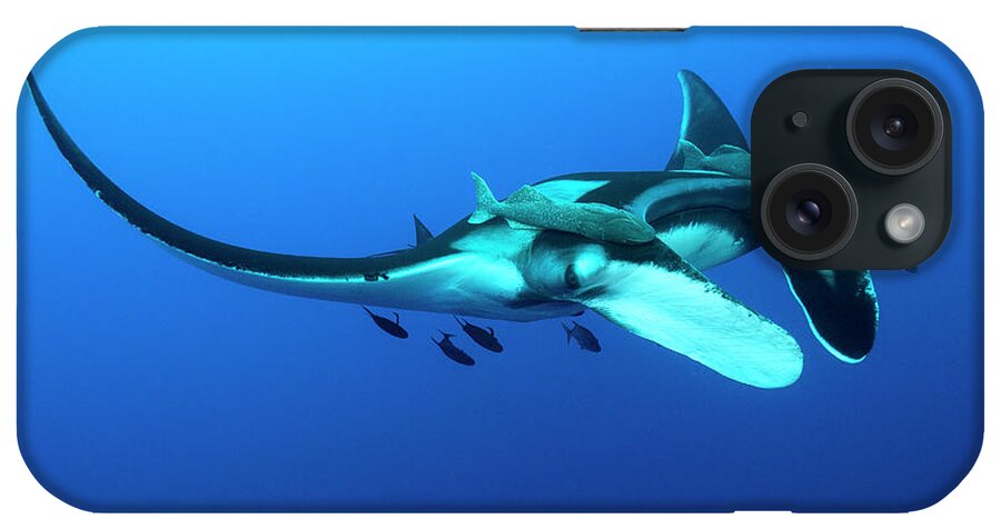 Giant Pacific Manta Ray iPhone Case featuring the photograph Interactive by Aaron Whittemore