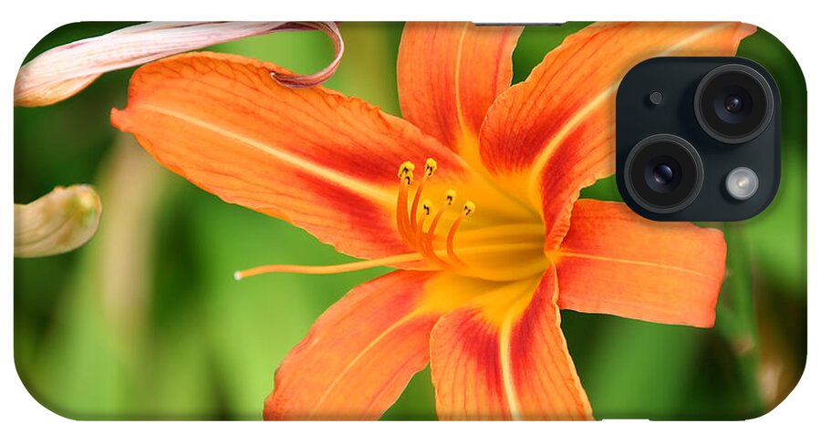 Adrian Laroque iPhone Case featuring the photograph Intimacy by LR Photography