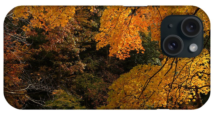 Autumn iPhone Case featuring the photograph Into the Fall by Michael McGowan
