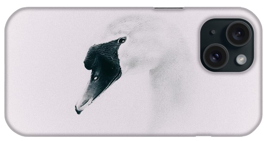 Swan iPhone Case featuring the photograph Into The Mind by Jaroslav Buna