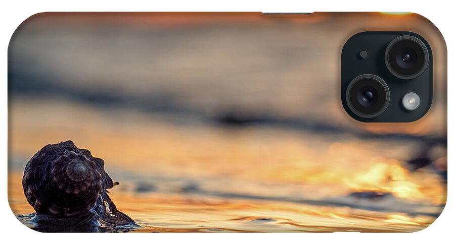 Crab iPhone Case featuring the photograph Into the Surf by Brad Boland