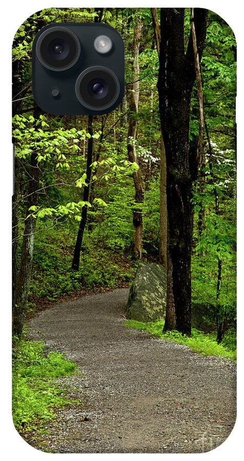 Paths iPhone Case featuring the photograph Into the Woods by Kathy McClure
