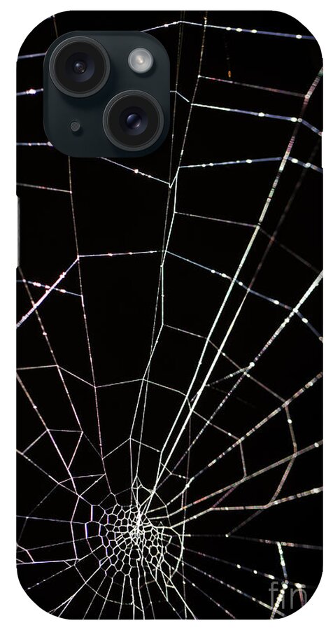 Natural iPhone Case featuring the photograph Intricate spider web by Alon Meir