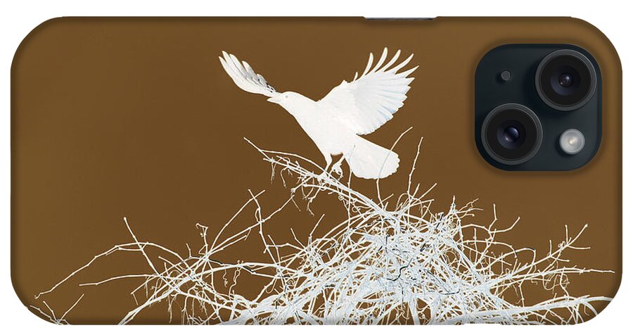 Bird iPhone Case featuring the photograph Inverted Crow by Deborah Benoit