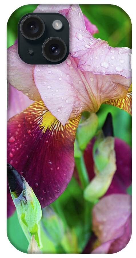 Bloom iPhone Case featuring the photograph Iriis After Rain by John Benedict
