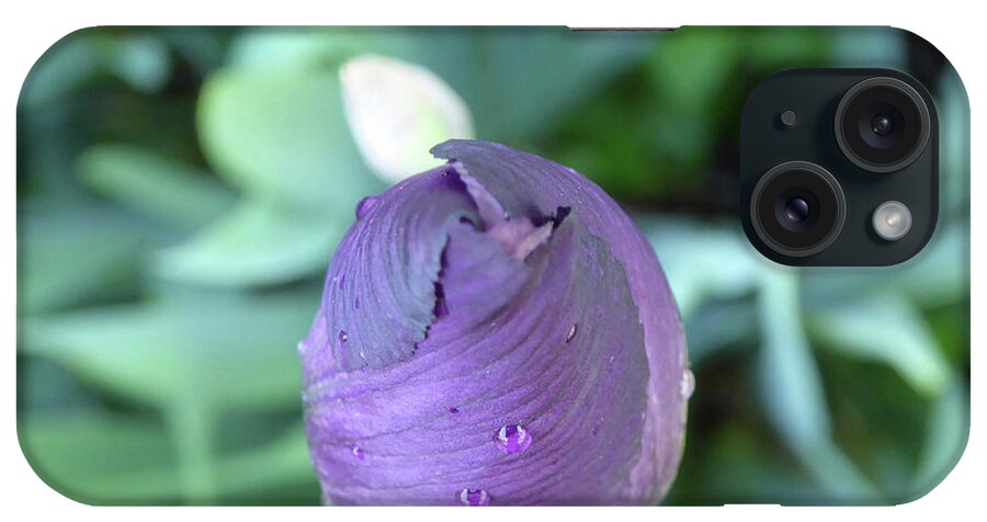Garden Raw Purple Violet Flower Wet Water Raindrop Green Bloom Close Macro Orange Bearded Iris Rhizome Bulb Tube Unedited As-is Spring North East New Jersey iPhone Case featuring the photograph Iris After the Rain V by Leon DeVose