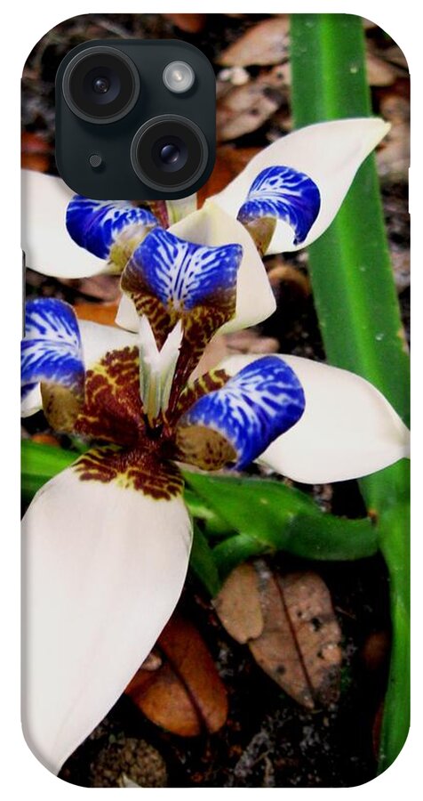 Iris iPhone Case featuring the photograph Iris by Angela Murray