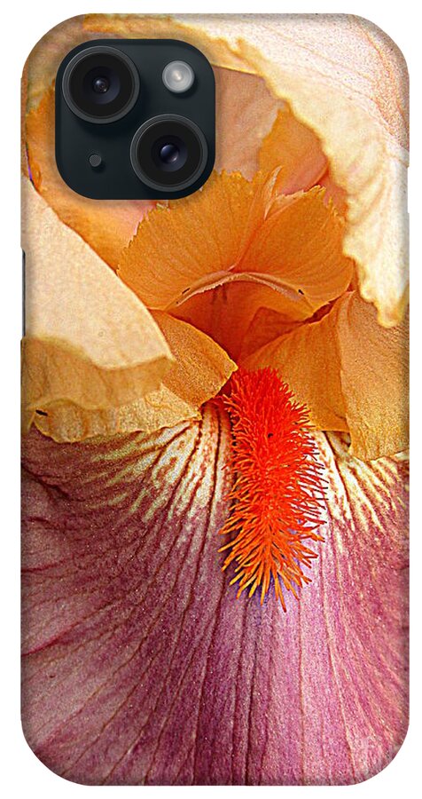 Iris iPhone Case featuring the photograph Iris Garden 19 by Randall Weidner