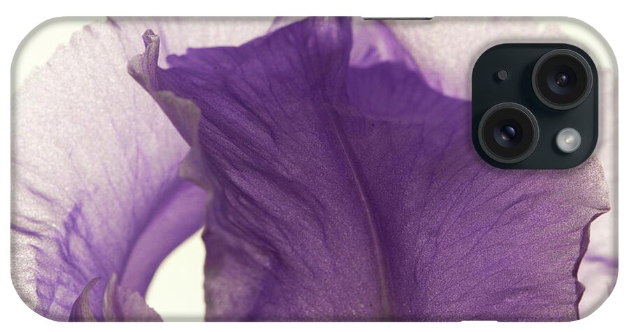 Iris iPhone Case featuring the photograph Simplicity of the Purple Iris by Kevin Schwalbe