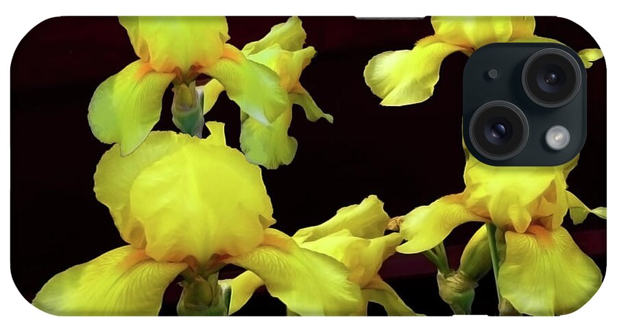 Photography iPhone Case featuring the photograph Irises Yellow by Jasna Dragun