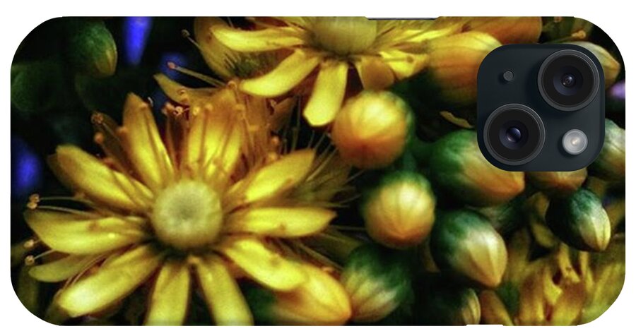 Flowerart iPhone Case featuring the photograph Irish Rose. Also Known As Pinwheel by Mr Photojimsf