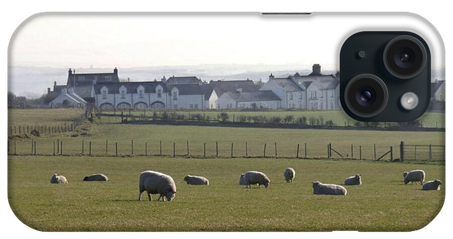 Farm iPhone Case featuring the photograph Irish Sheep Farm by Henri Irizarri