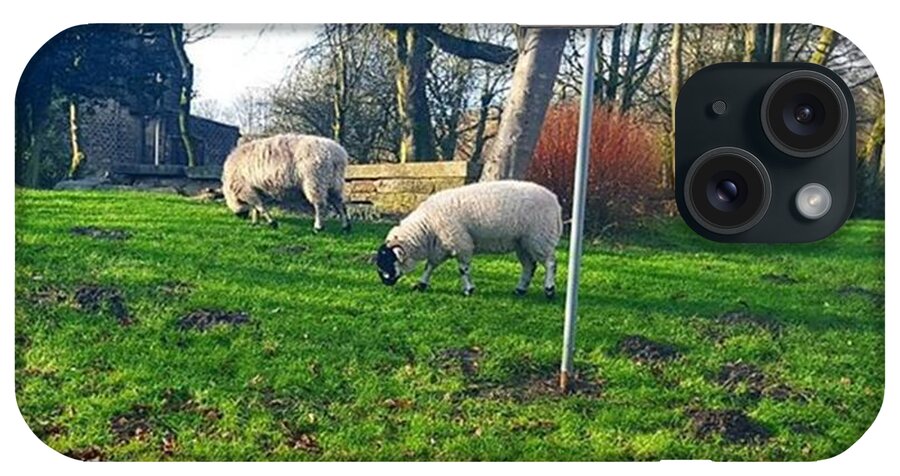Notinsane iPhone Case featuring the photograph Is This Discrimination? Sheep 🐑 Are by Dante Harker