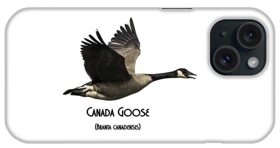 Canada Goose iPhone Case featuring the photograph Isolated Canada Goose 2015-1 by Thomas Young