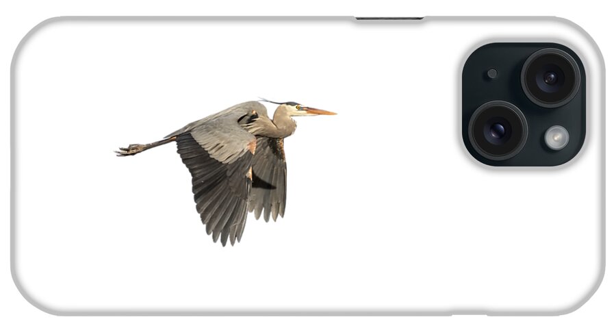 Great Blue Heron iPhone Case featuring the photograph Isolated Great Blue Heron 2015-5 by Thomas Young