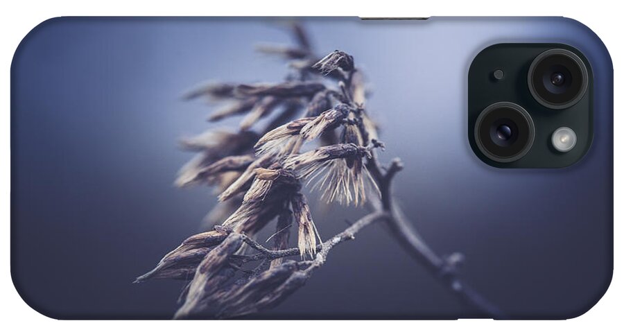 Plant iPhone Case featuring the photograph It Seemed To Last For Days by Shane Holsclaw