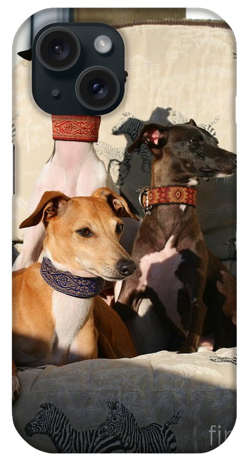 Editorial iPhone Case featuring the photograph Italian Greyhounds by Angela Rath
