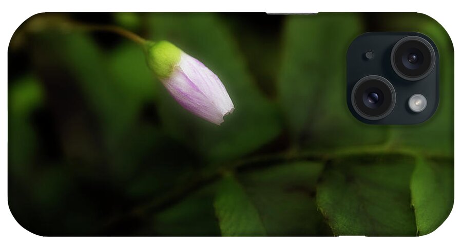 Flower iPhone Case featuring the photograph It's Time by Mike Eingle