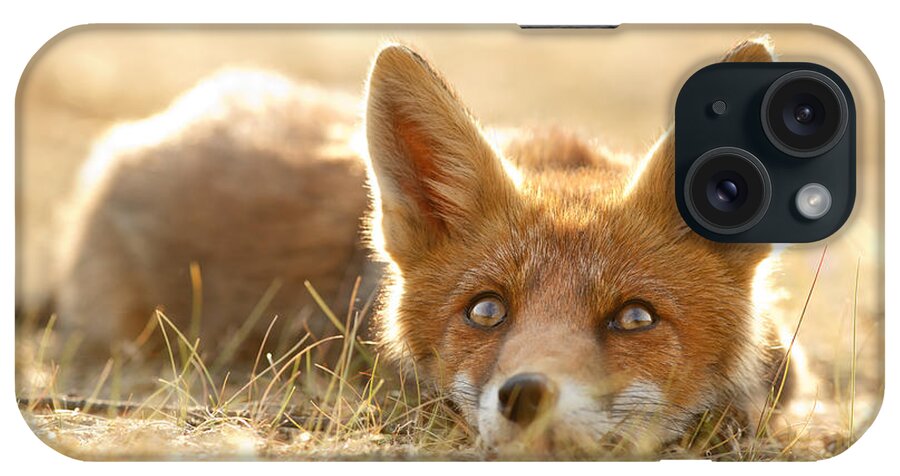 Fox iPhone Case featuring the photograph Little Fox Dreaming of a Foxy Future by Roeselien Raimond