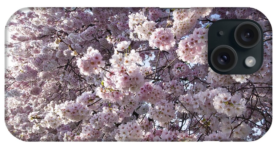 Authority iPhone Case featuring the photograph Japanese Blossoms by Brian Green