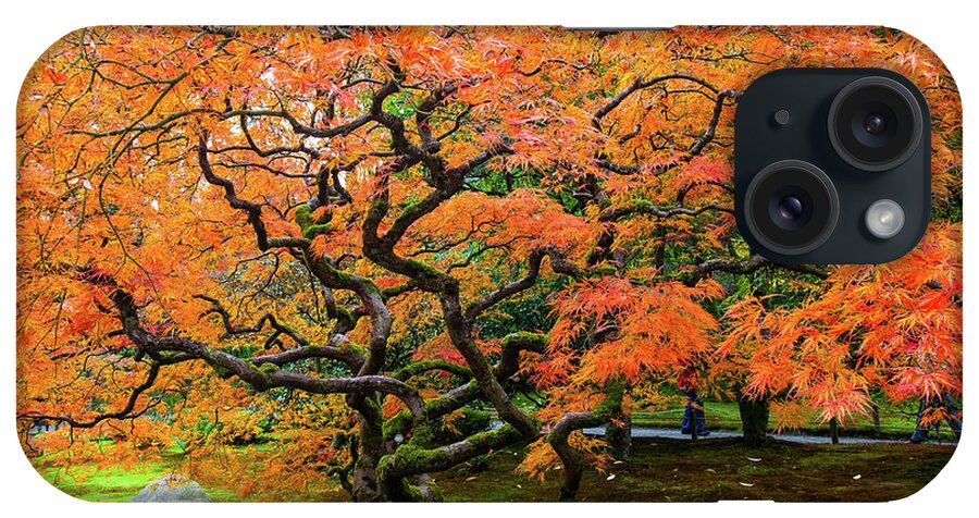 Landscape iPhone Case featuring the photograph Japanese maple - Japanese garden by Hisao Mogi