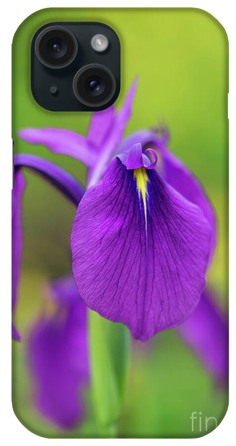 Iris Ensata iPhone Case featuring the photograph Japanese Water Iris Flower by Tim Gainey