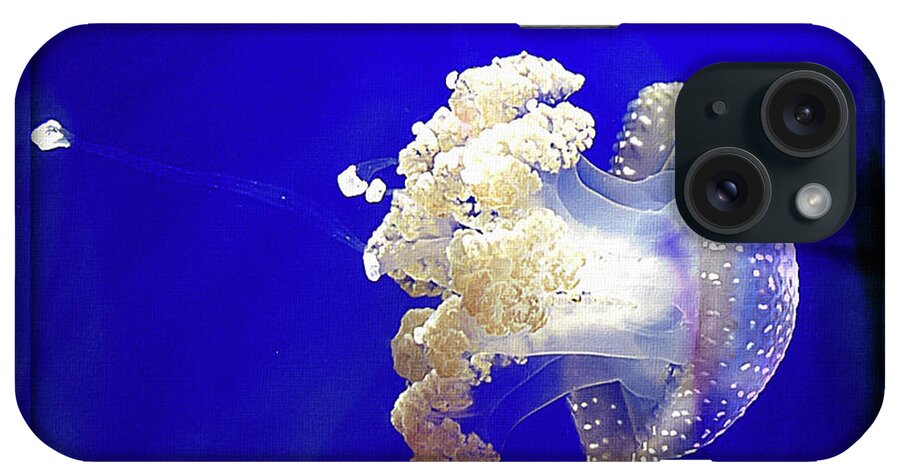 Mona Stut iPhone Case featuring the digital art Jellyfish Cnidarian Quallen by Mona Stut