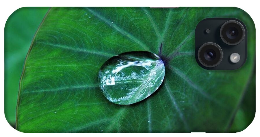 Rain Drop iPhone Case featuring the photograph Jewel on Kalo Leaf from the Rain by Heidi Fickinger